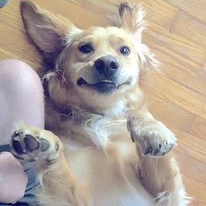 Meet your Posher, Shannon-rose